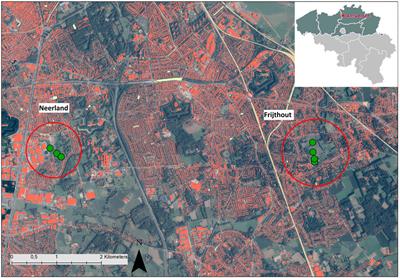 Assessing biodiversity and regulatory ecosystem services in urban water bodies which serve as aqua-Nature-based Solutions